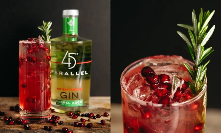 Pomegranate-Rosemary Gin Fizz