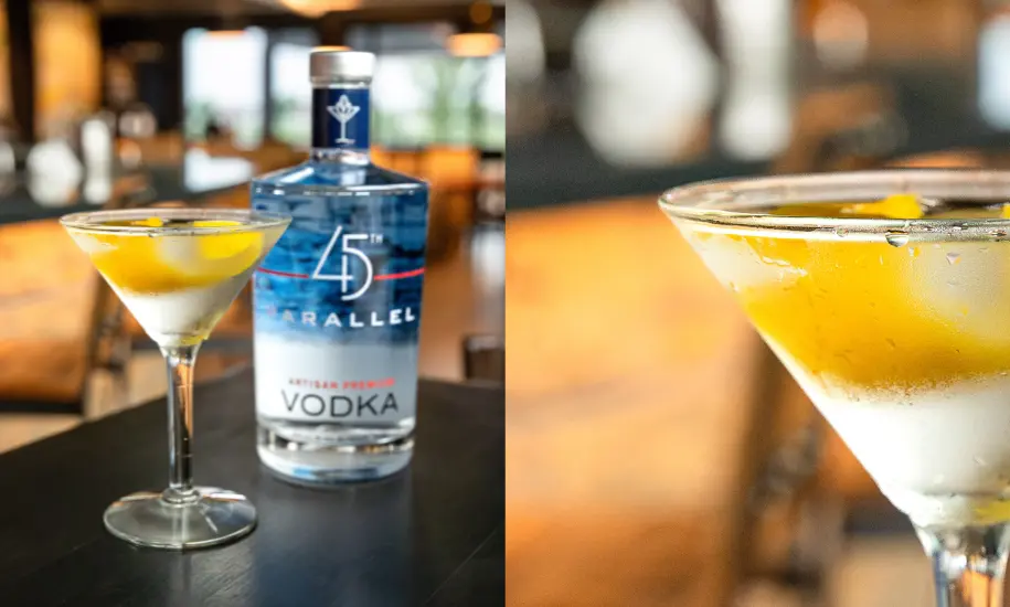 (Mostly) Vodka Martini